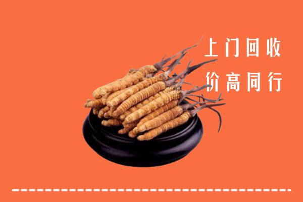 三元区回收冬虫夏草