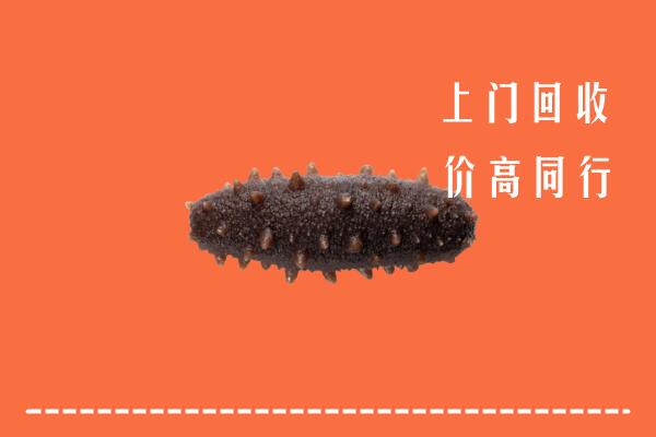 高价求购：三元区回收海参