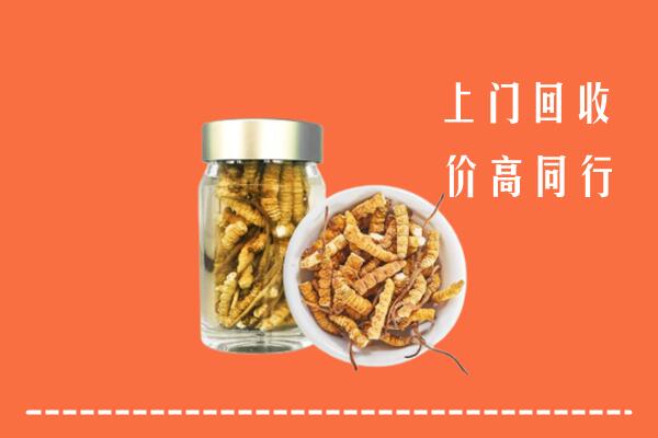 三元区回收冬虫夏草